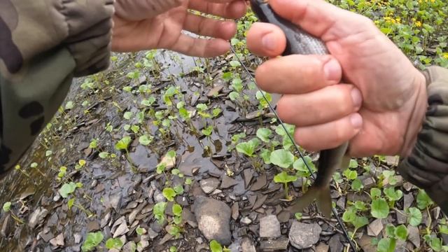 СВИДАНИЕ с ДЕВУШКОЙ в ЛЕСУ у КОСТРА. РЫБАЛКА НА ХАРИУСА смотреть онлайн