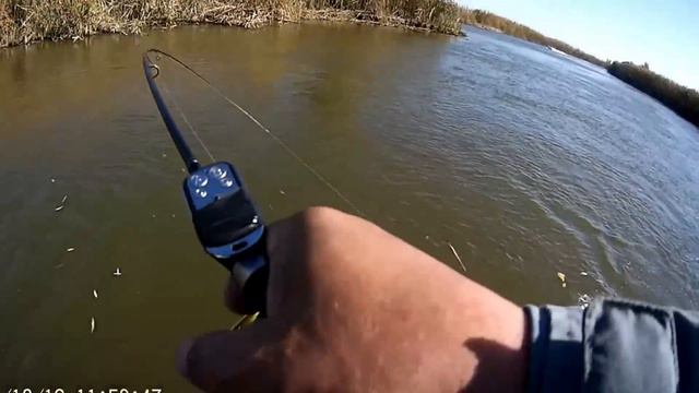 ШОК!!!!ДА сколько здесь ЖЕРЕХА в этой ПРОТОКЕ?!! Ловля жереха на спиннинг.АСТРАХАНЬ ч.2. смотреть онлайн