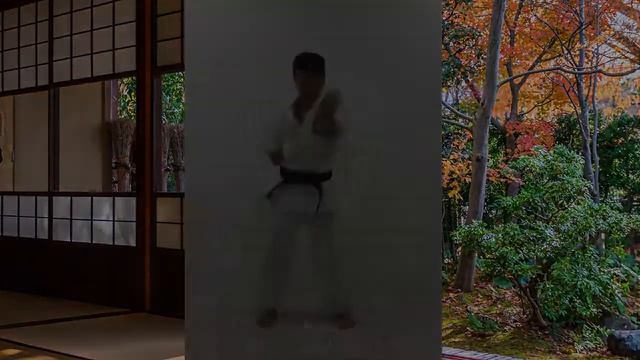 КААРАТЭ -- ГОДЗЮ - РЮ !!!! .. Goju ryu Karate Basic смотреть онлайн