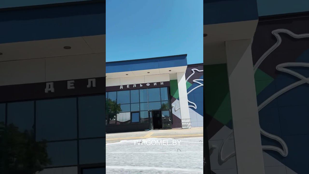 Бассейн «Дельфин» скоро откроют в Гомеле смотреть онлайн