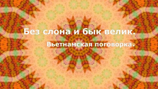 Пословицы и поговорки мира. #публичность #общение #готовимречь #эффективно #эффектно #говори смотреть онлайн