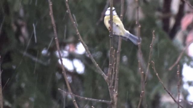 sony hx400v video смотреть онлайн