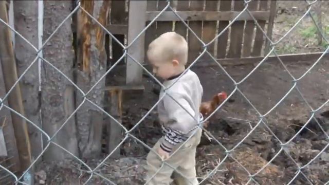 26 апреля день дети и животные.