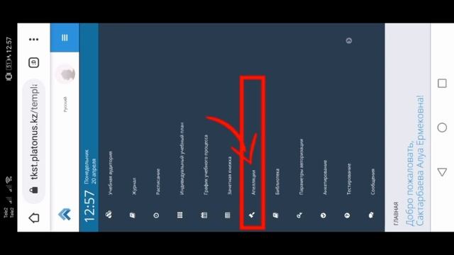 PLATONUS. ЭКЗАМЕНЫ. ТЕСТЫ. ДЛЯ СТУДЕНТОВ. смотреть онлайн