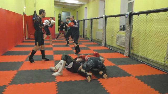 Воспитанник Мозырской Академии ММА Дмитрий Засинец — бронзовый призёр чемпионата Европы смотреть онлайн