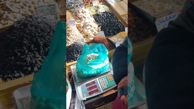 саженцы фисташки морозостойкой. смотреть онлайн