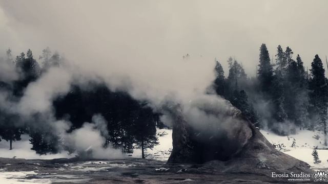 Fathom 4K A Winter's Journey into Yellowstone смотреть онлайн