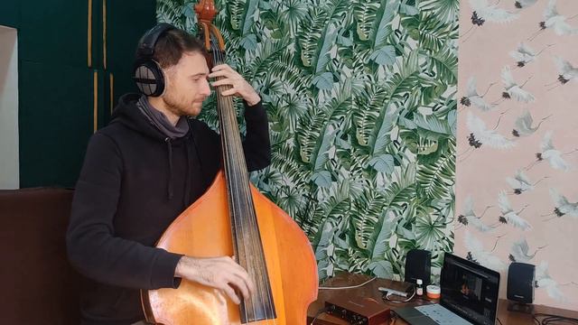 Ленинград - Мне бы в небо (Doublebass cover/Контрабас кавер) смотреть онлайн