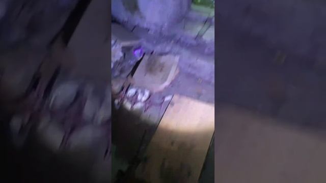 Какая обстановка в подвале, где живут котики смотреть онлайн