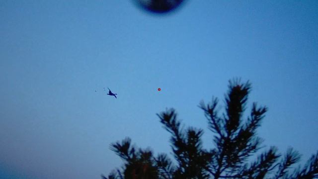 Выстрел по гусю снятый на Шоткам смотреть онлайн