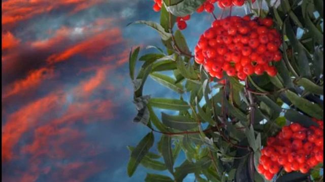 "Вот и осень " Юрий Воротнин авт. и исп.Эльза Комарова смотреть онлайн