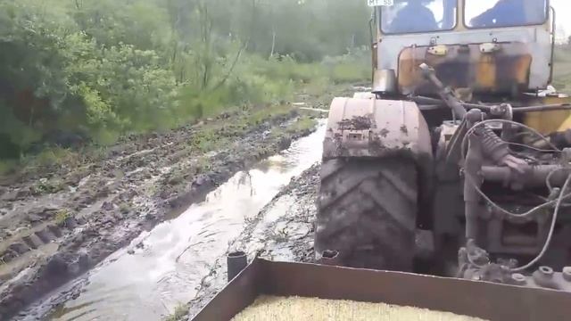 Посевная 2018 Омская область Знаменский район деревня Котовщиково смотреть онлайн