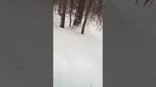 Снегоход STELS V800 VIKING  по слузу.