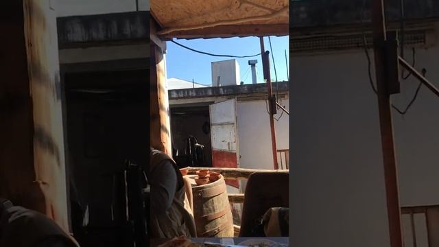 #Грузия#туристы #из Украины ?#хорошо поют смотреть онлайн