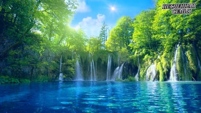 Научитесь говорить на языке любви Отца @ncemya смотреть онлайн