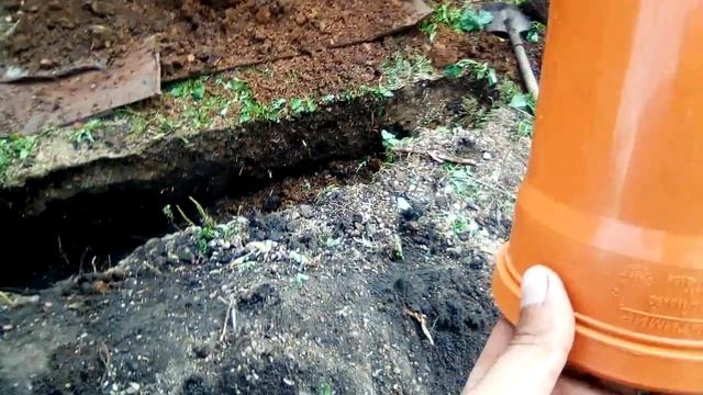 Переливной септик Часть 1 смотреть онлайн