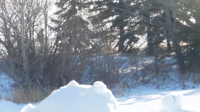 В.А. Моцарт. СОНАТА № 12 частьII Andante.