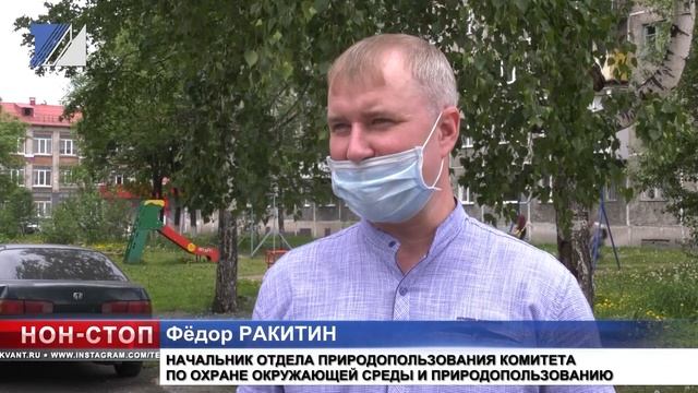 Эко-занятия проходят для школьников в онлайн режиме