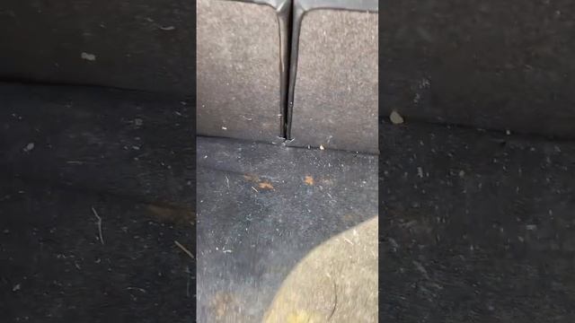 J535 Toyota Auris 2008, 1.6, бензин, МКПП смотреть онлайн