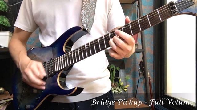 Schecter C-6 Pro FR vs Ibanez Premium RG1070PBZ смотреть онлайн