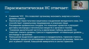 Психосоматика.