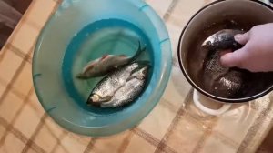 Соление и вяление Плотвы ( от А до  Я)