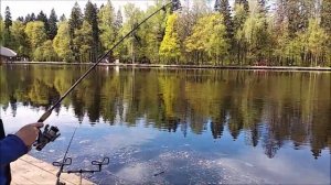 Осетровый монтаж, дневная рыбалка на осетра на нижнем. Клёвое место Лосиный остров.