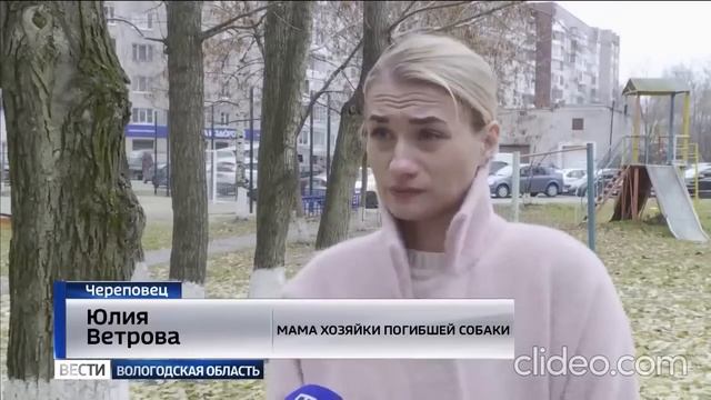 ЭПИДЕМИЯ НАПАДЕНИЯ СОБАК В РОССИИ смотреть онлайн