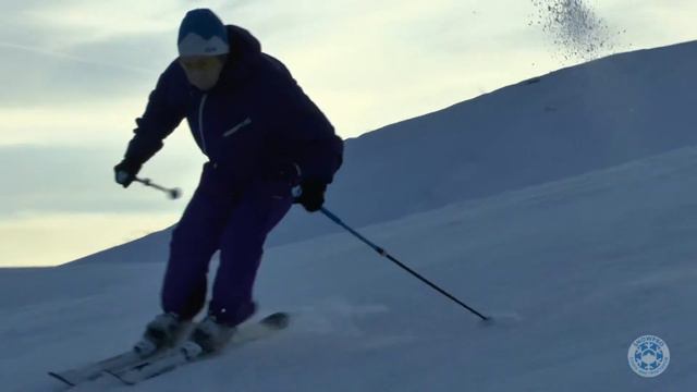 training dolphin turn slow movie snowpro смотреть онлайн