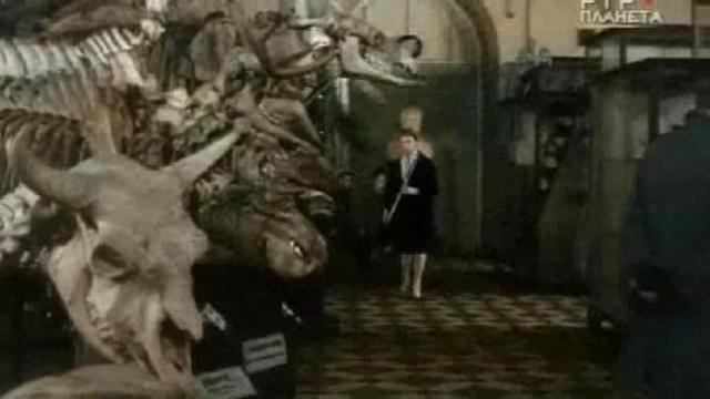 владелец Мерседес бенц ( цветной Штирлиц ) смотреть онлайн