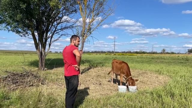 ВСЕ МОГЛО ЗАКОНЧИТЬСЯ ПЛАЧЕВНО! ДАЛИ ЕЙ ЕЩЕ ОДИН ШАНС! НАША ФЕРМА! ЖИЗНЬ ПРОСТЫХ ЛЮДЕЙ В ДЕРЕВНЕ! смотреть онлайн