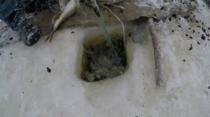 Подлёдная ловля сетями Рыбалка лесочными сетями Как ловят сетями ЖЕСТЬ