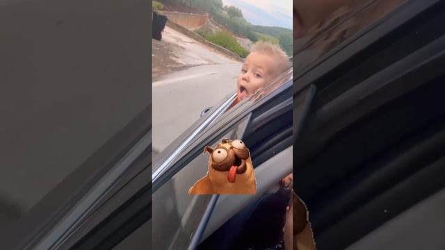 Раскрыт секрет, почему собаки высовывают голову из машины. Дети тоже любят ловить воздух. #shorts смотреть онлайн