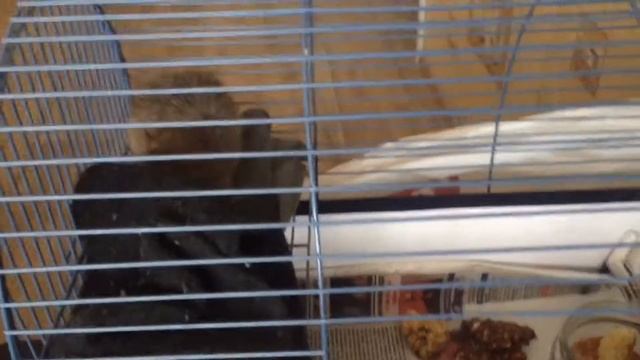 МАСКА БАНЬКА АГАФЬИ/24.02.19/ВКУСНЫЕ СЫРНИКИ смотреть онлайн