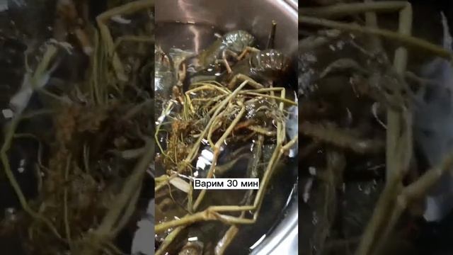 Как варить раков? смотреть онлайн