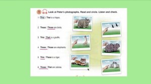Урок 13. Указательные местоимения This, That, These, Those. В чем разница?