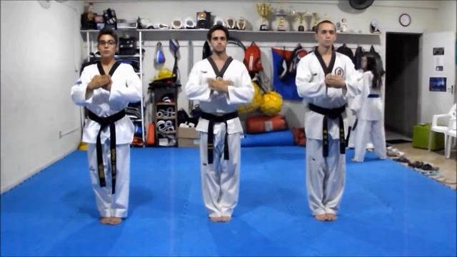 Taekwondo Style смотреть онлайн