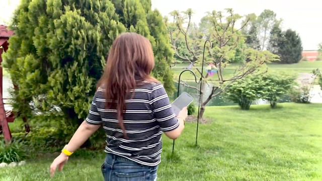 Mother’s Day Charcoal Grilled Rib Eye Steaks, Corn on the Cob, Pico De Gallo Dip Tortilla смотреть онлайн