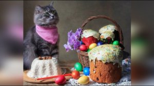 Пасха и кошка :-)