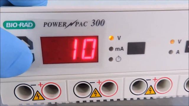 BioRad Power Pac 300 Electrophoresis Power Supply
