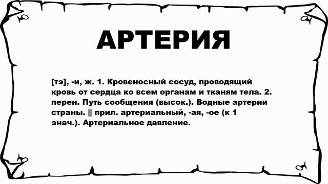 АРТЕРИЯ - что это такое? значение и описание смотреть онлайн