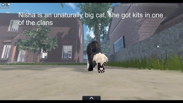 Kittypet ideas || Warrior cats Ultimate edition смотреть онлайн