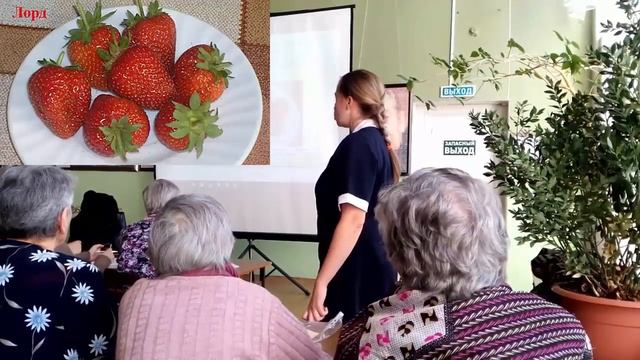 ?Самая вкусная клубника средних сортов. Отзывы о клубнике средних сортов, рекомендуемых к посадке смотреть онлайн