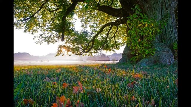 Музыка для души.