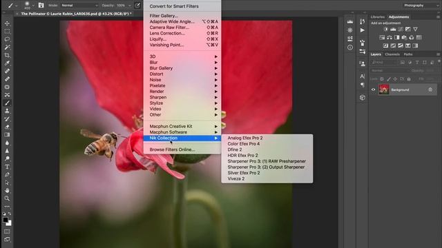 Workaround for the Nik Selective Tool смотреть онлайн