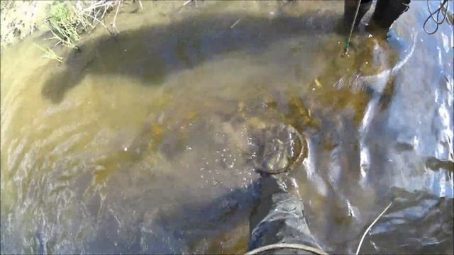 река Кузьминка смотреть онлайн