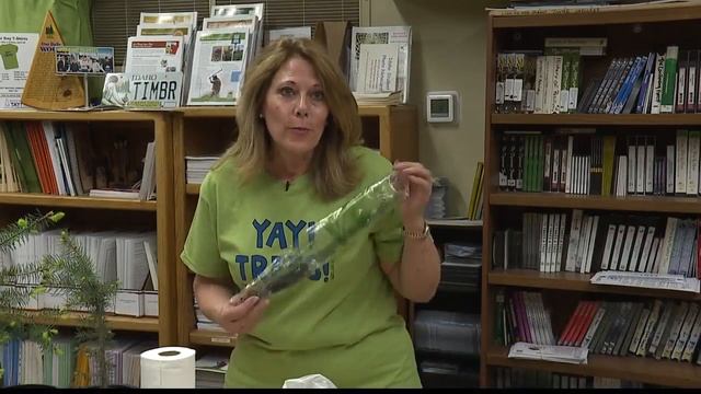 Free blue spruce seedlings смотреть онлайн