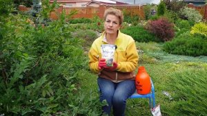 Специальное удобрение для голубики. Комплексное, водорастворимое, с полезными микроэлементами.