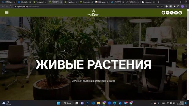 SEO-аудит - гриндрим.рф смотреть онлайн