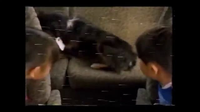 1997 Mitsubishi Fuso Rosa Ad Japan смотреть онлайн